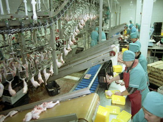 Бывшие работники Фыркальской птицефабрики не спешат получить задолженность по зарплате