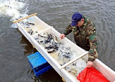 Хакасия получила новые озера для рыбоводства