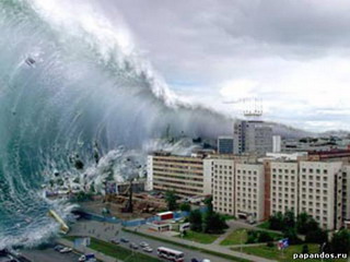 Высота цунами в Японии достигала 40 метров