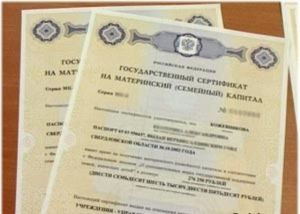 В Хакасии 400 тысяч рублей материнского капитала потрачено на жильё 