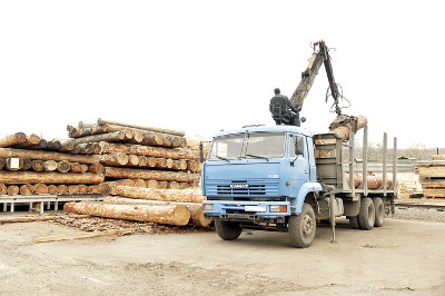 Компании по переработке леса получат поддержку правительства Хакасии
