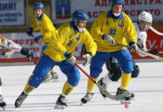 В Черёмушках стартовало первенство России по хоккею с мячом среди юношей