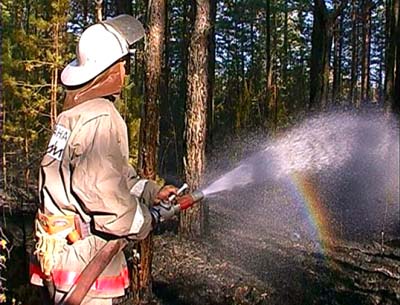 Виктор Толоконский: Необходим запрет на посещение лесов в пожароопасный период