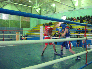 Хакасские боксеры приняли участие в тувинском турнире