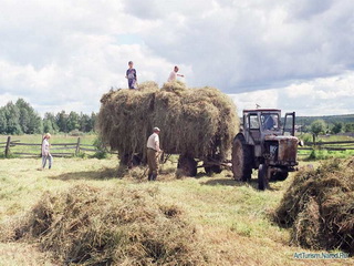 В Хакасии планируется заготовить до 60 тысяч тонн сена