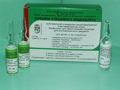 Весной в Республике Хакасия 75 тысяч человек получат прививки от клещевого вирусного энцефалита