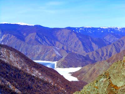 Численность снежного барса в Саяно – Шушенском заповеднике стабильна
