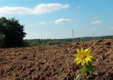 В Хакасии фермеры не соблюдают земельное законодательство