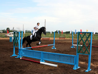 «Золотая подкова» призвана поднять престиж конного спорта в Хакасии